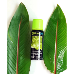 FLORALIFE LEAFSHINE Plant and Foliage Gloss