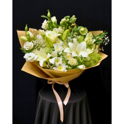 Blanco Europa · Edición Premium