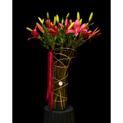 She's Beautifull / Arrangement