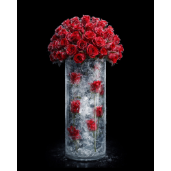 Frozen Roses