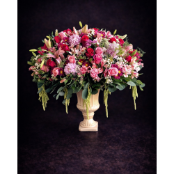 Extravagante Magenta