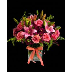 Pretty in Pink / Arreglo