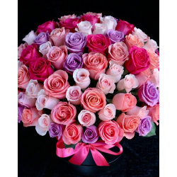 You are a Bonbon / Arrangement