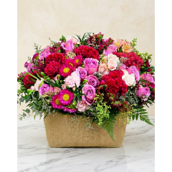 Rosa Mexicano