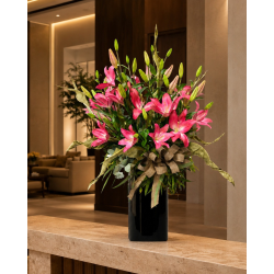 Dream Lilies