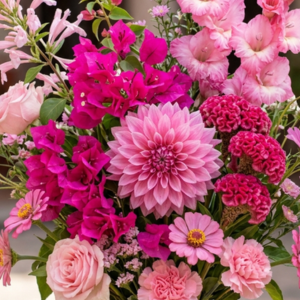 Mes Rosa