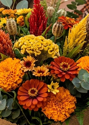 OTOÑO